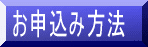 ���\���ݕ��@